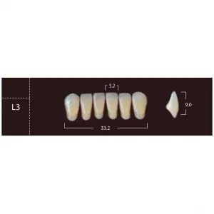 New Ace Anterior - фронтальные нижние, фасон L3 (6шт.) Yamahachi
