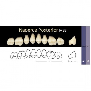 Naperce Posterior - боковые верхние, фасон M33 (8шт.) Yamahachi