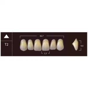 New Ace Anterior - фронтальные верхние, фасон T2 (6шт.) Yamahachi