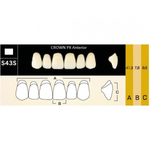Crown PX фронтальные верхние, фасон S43S (6шт.) Yamahachi