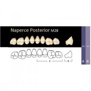 Naperce Posterior - боковые верхние, фасон M28 (8шт.) Yamahachi