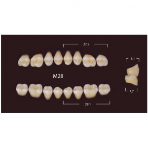 New Million Posterior - 20 боковых гарнитуров в боксе, фасон M28 (320шт.) Yamahachi