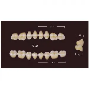 New Million Posterior - 20 боковых гарнитуров в боксе, фасон M28 (320шт.) Yamahachi