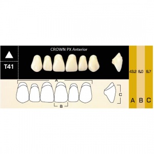 Crown PX фронтальные верхние, фасон T41 (6шт.) Yamahachi