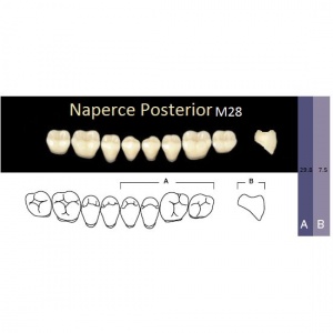 Naperce Posterior - боковые нижние, фасон M28 (8шт.) Yamahachi