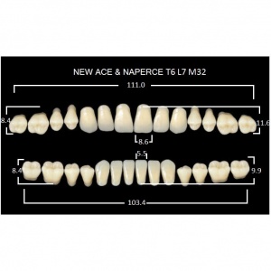 Gloria New Ace полный гарнитур фронт верх T6, фронт низ L7, боковые М32 (28шт.), Yamahachi