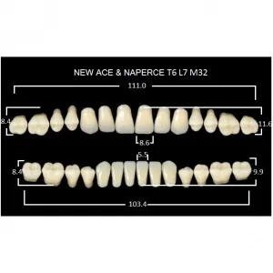 Gloria New Ace полный гарнитур фронт верх T6, фронт низ L7, боковые М32 (28шт.), Yamahachi
