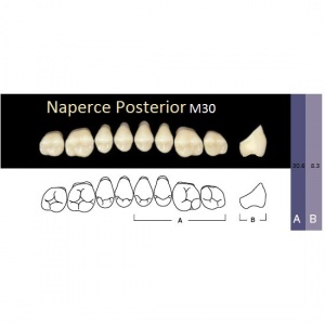 Naperce Posterior - боковые верхние, фасон M30 (8шт.) Yamahachi