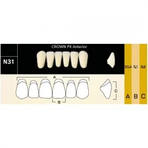 Crown PX фронтальные нижние, фасон N31 (6шт.) Yamahachi