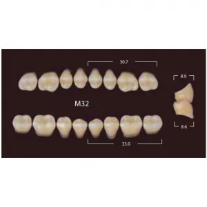 New Million Posterior - 20 боковых гарнитуров в боксе, фасон M32 (320шт.) Yamahachi