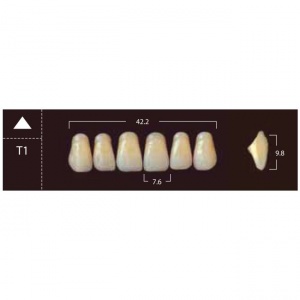 New Ace Anterior - фронтальные верхние, фасон T1 (6шт.) Yamahachi