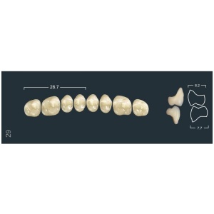 Зубы Ivocryl - жевательные верхние, фасон 29 (8шт.), Ivoclar