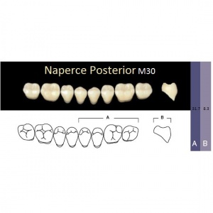 Naperce Posterior - боковые нижние, фасон M30 (8шт.) Yamahachi