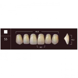 New Ace Anterior - фронтальные верхние, фасон S5 (6шт.) Yamahachi