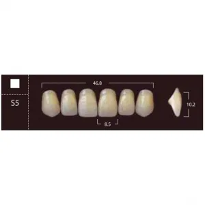 New Ace Anterior - фронтальные верхние, фасон S5 (6шт.) Yamahachi