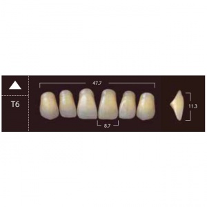 New Ace Anterior - фронтальные верхние, фасон T6 (6шт.) Yamahachi