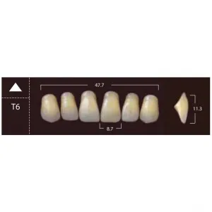 New Ace Anterior - фронтальные верхние, фасон T6 (6шт.) Yamahachi