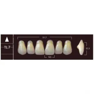 New Ace Anterior - фронтальные верхние, фасон TL7 (6шт.) Yamahachi