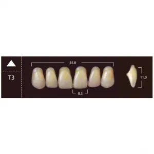 New Ace Anterior - фронтальные верхние, фасон T3 (6шт.) Yamahachi
