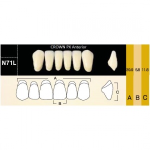 Crown PX фронтальные нижние, фасон N71L (6шт.) Yamahachi