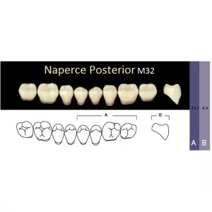 Naperce Posterior - боковые нижние, фасон M32 (8шт.) Yamahachi