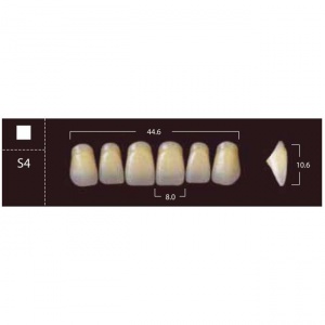 New Ace Anterior - фронтальные верхние, фасон S4 (6шт.) Yamahachi