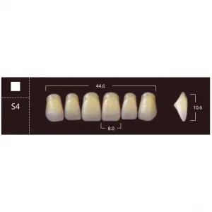 New Ace Anterior - фронтальные верхние, фасон S4 (6шт.) Yamahachi