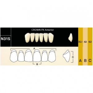 Crown PX фронтальные нижние, фасон N31S (6шт.) Yamahachi