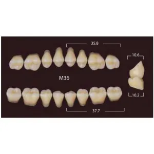 New Million Posterior - 20 боковых гарнитуров в боксе, фасон M36 (320шт.) Yamahachi