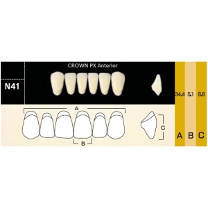 Crown PX фронтальные нижние, фасон N41 (6шт.) Yamahachi