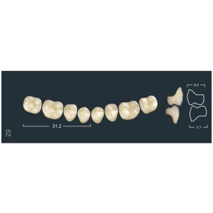 Зубы Ivocryl - жевательные нижние, фасон 29 (8шт.), Ivoclar