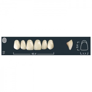 Зубы Ivocryl - фронтальные верхние, фасон 10 (6шт.), Ivoclar