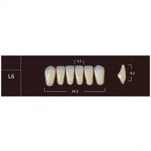 New Ace Anterior - фронтальные нижние, фасон L6 (6шт.) Yamahachi