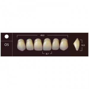 New Ace Anterior - фронтальные верхние, фасон O5 (6шт.) Yamahachi