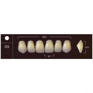 New Ace Anterior - фронтальные верхние, фасон O5 (6шт.) Yamahachi