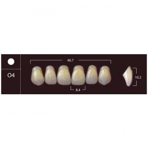 New Ace Anterior - фронтальные верхние, фасон O4 (6шт.) Yamahachi