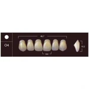 New Ace Anterior - фронтальные верхние, фасон O4 (6шт.) Yamahachi