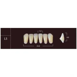 New Ace Anterior - фронтальные нижние, фасон L5 (6шт.) Yamahachi