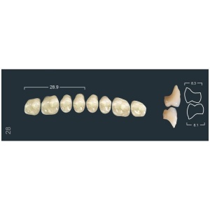 Зубы Ivocryl - жевательные верхние, фасон 28 (8шт.), Ivoclar
