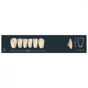 Зубы Ivocryl - фронтальные нижние, фасон 52 (6шт.), Ivoclar