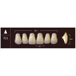 New Ace Anterior - фронтальные верхние, фасон TL5 (6шт.) Yamahachi