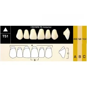 Crown PX фронтальные верхние, фасон T51 (6шт.) Yamahachi