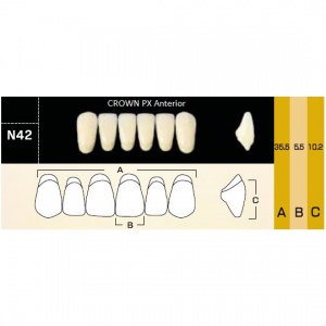 Crown PX фронтальные нижние, фасон N42 (6шт.) Yamahachi