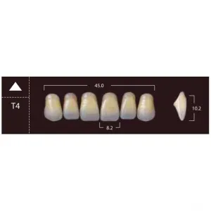 New Ace Anterior - фронтальные верхние, фасон T4 (6шт.) Yamahachi