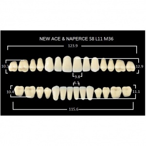 Gloria New Ace полный гарнитур фронт верх S8, фронт низ L11, боковые М36 (28шт.), Yamahachi