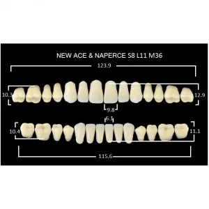 Gloria New Ace полный гарнитур фронт верх S8, фронт низ L11, боковые М36 (28шт.), Yamahachi