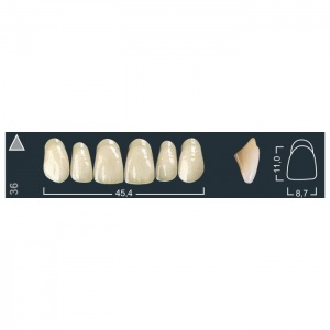 Зубы Ivocryl - фронтальные верхние, фасон 36 (6шт.), Ivoclar