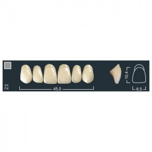 Зубы Ivocryl - фронтальные верхние, фасон 23 (6шт.), Ivoclar