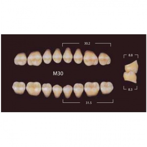 New Million Posterior - 20 боковых гарнитуров в боксе, фасон M30 (320шт.) Yamahachi