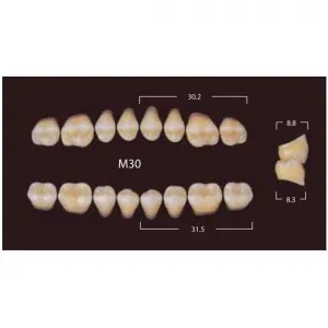 New Million Posterior - 20 боковых гарнитуров в боксе, фасон M30 (320шт.) Yamahachi